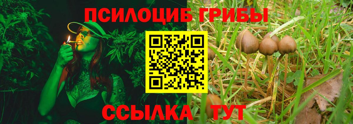 Галлюциногенные грибы мицелий Артём